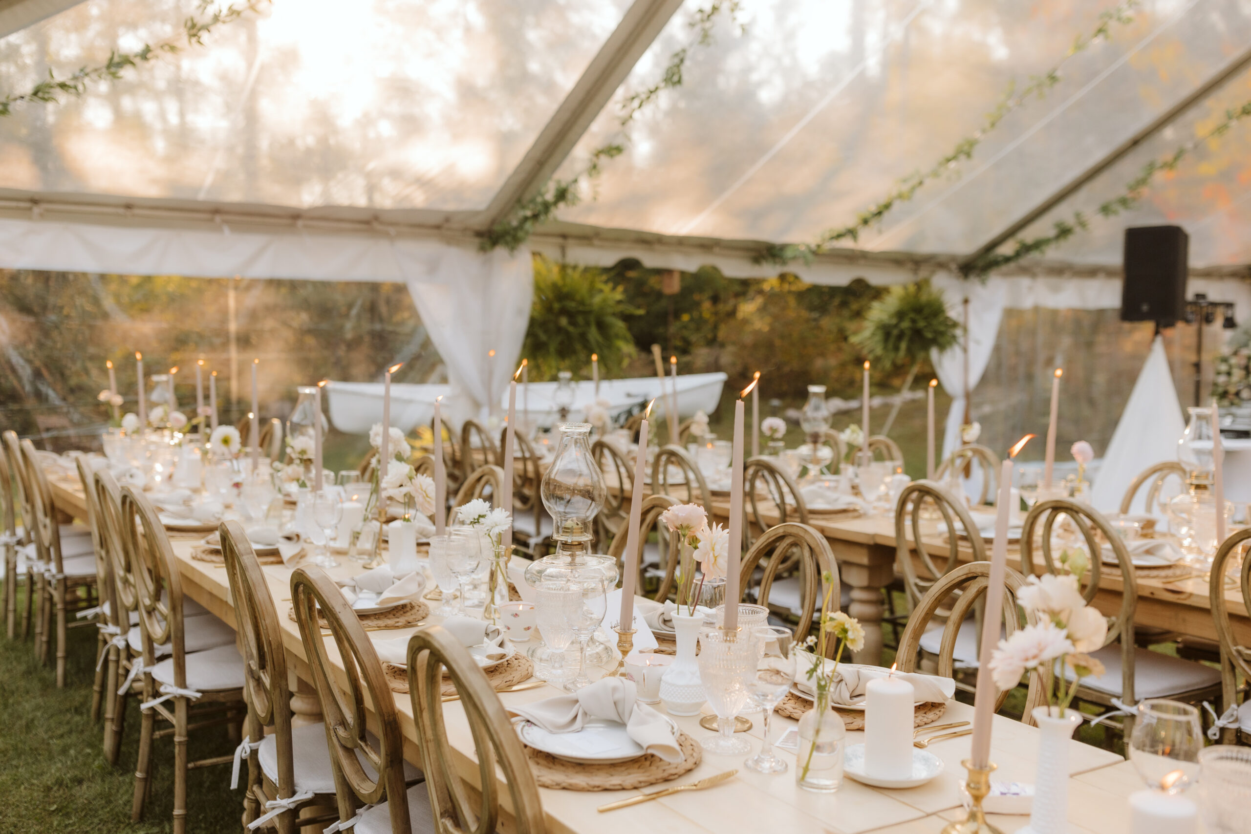 Professional Party Rentals Near Me