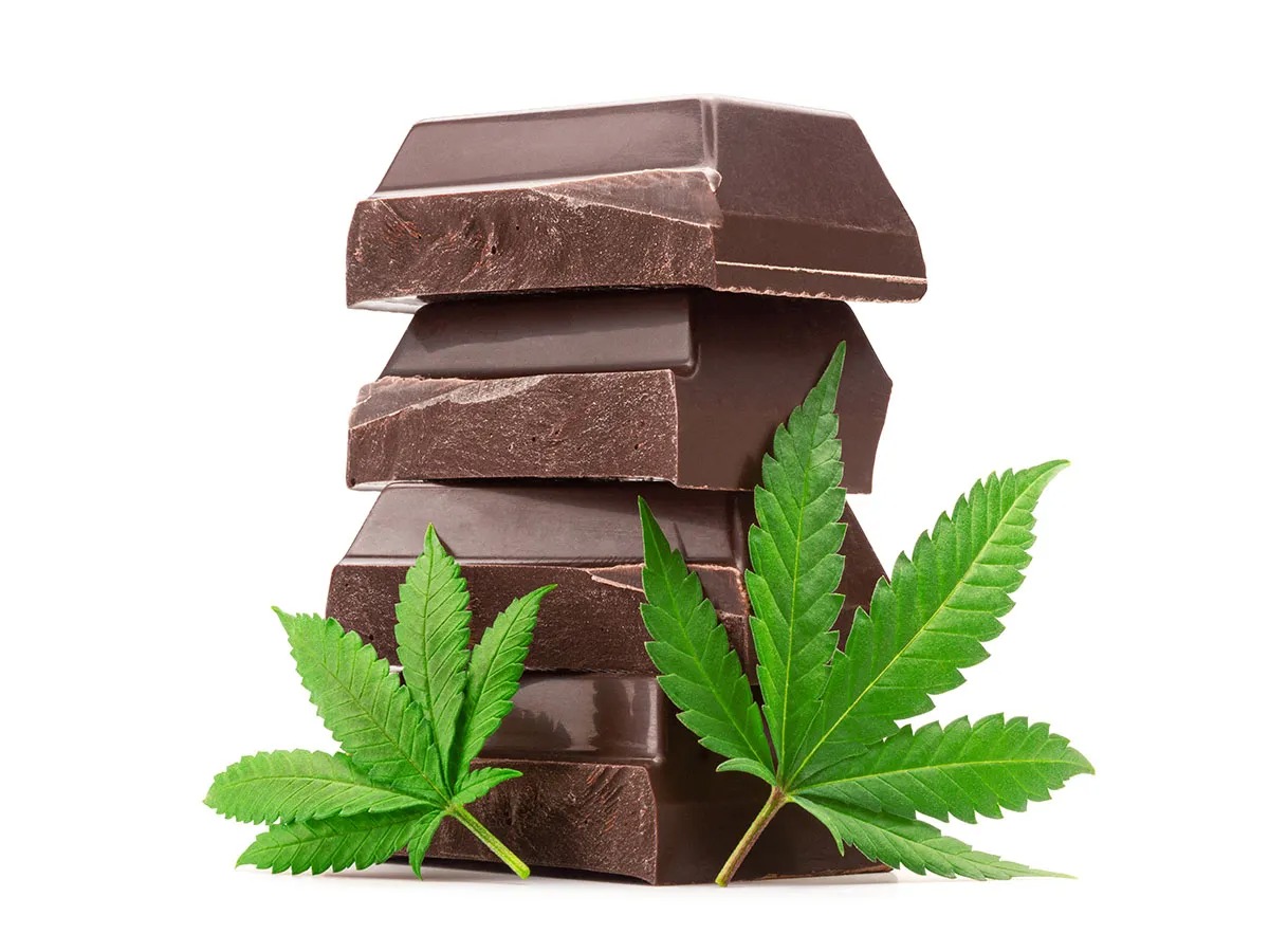 Bluetenbande e.V. | Lizenzierter Cannabis-Club