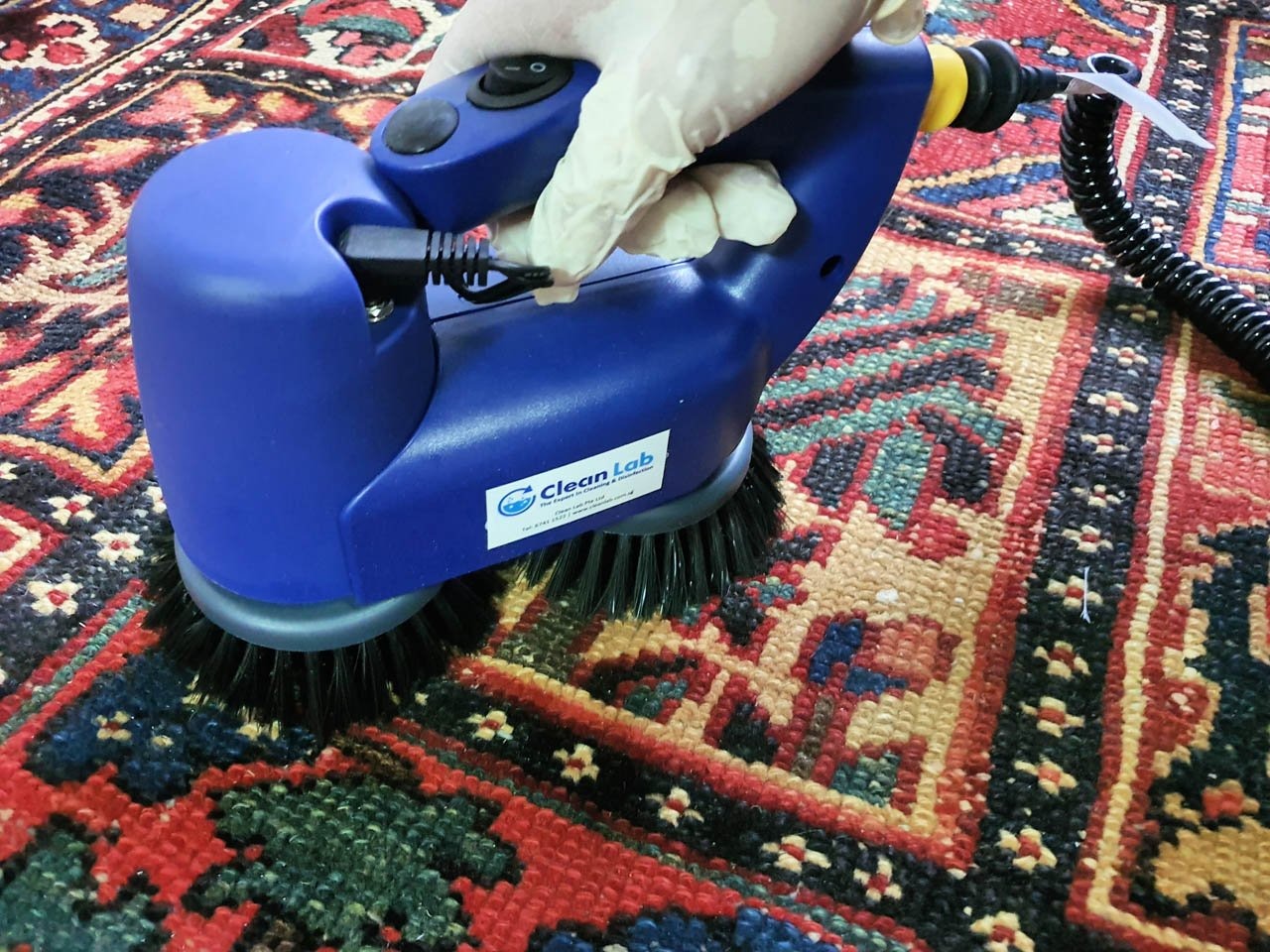 Affordable Carpet Cleaning Near Me | Guardian Carpet Cleaning