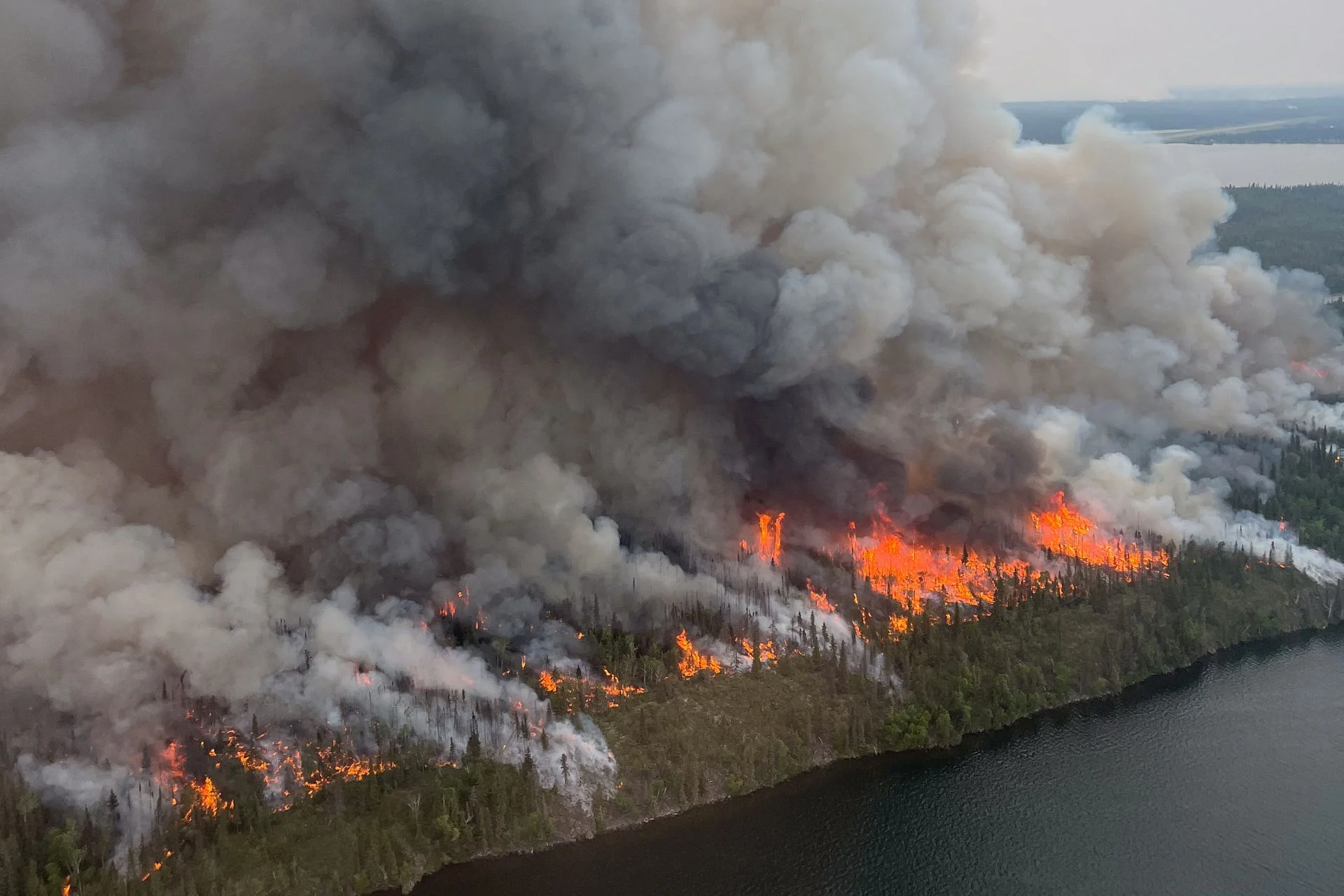Wild Fire Events: Experts in Kids’ Parties and Camps