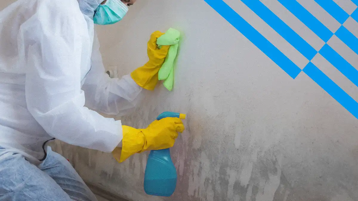 Reliable Restoration Services – mold remediation bouldin creek austin tx