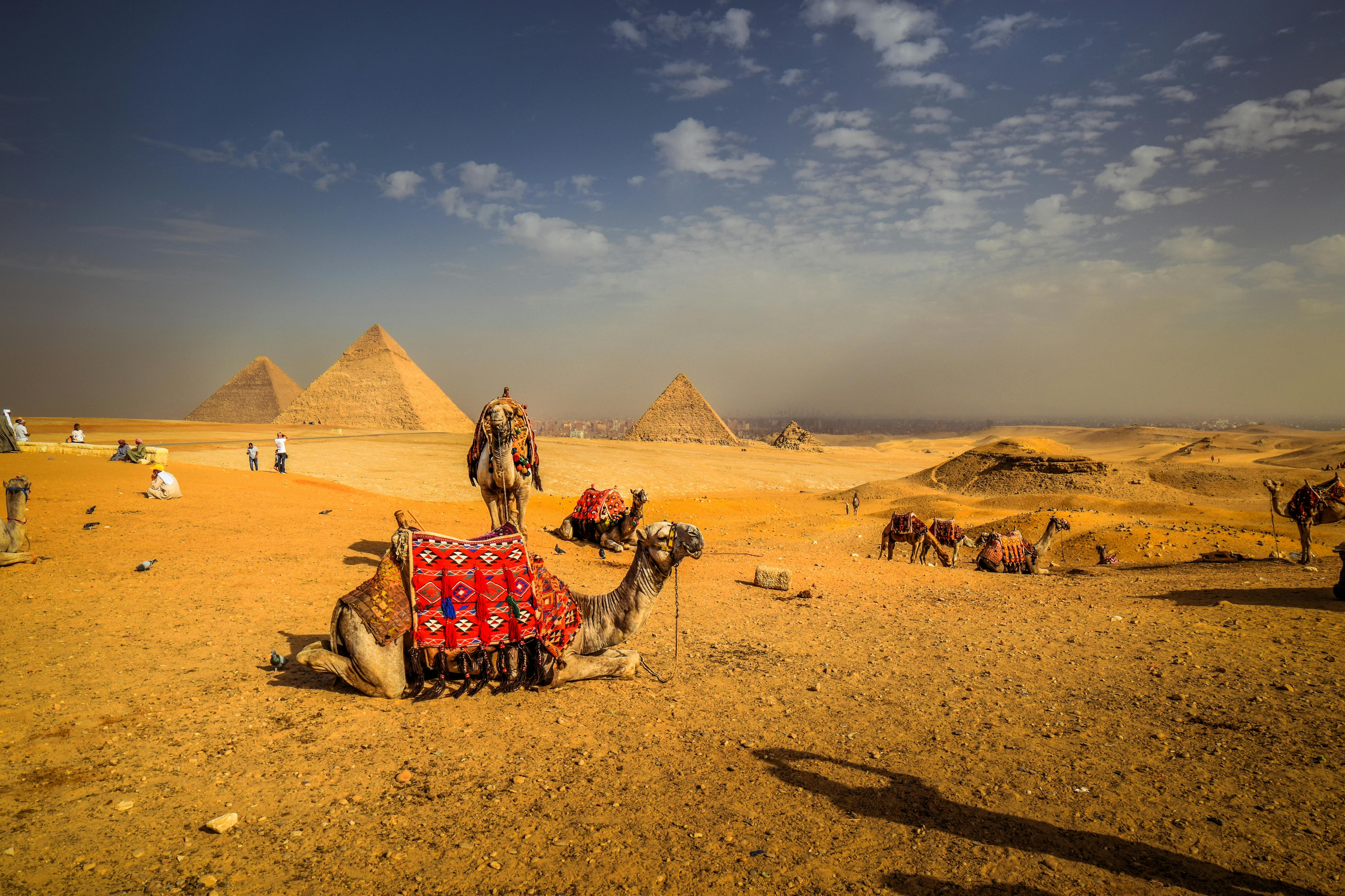 Luxury Jordan Eco Tourism Tours for Eco-Friendly Travelers