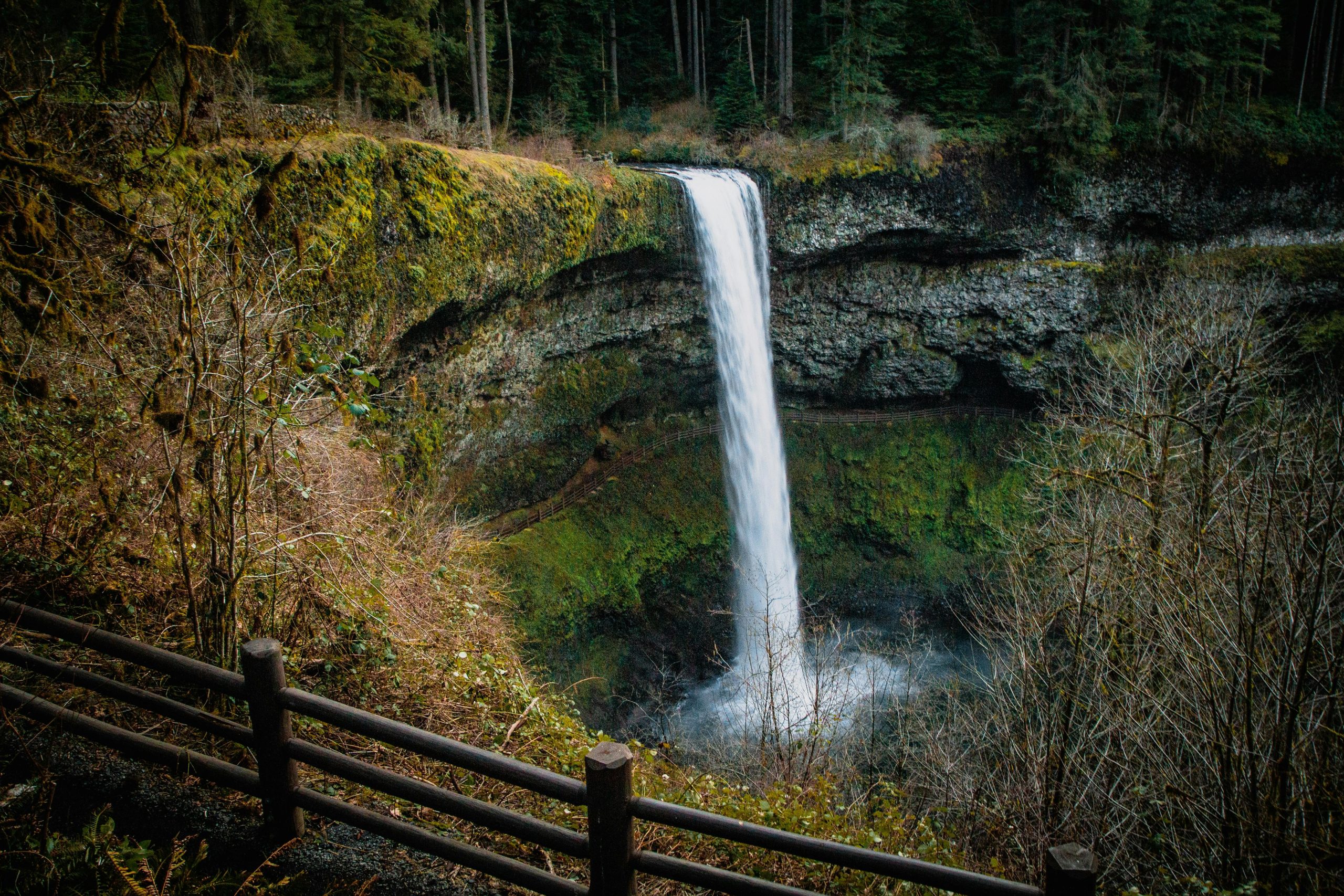Visiting Multnomah Falls: What Every Traveler Should Know