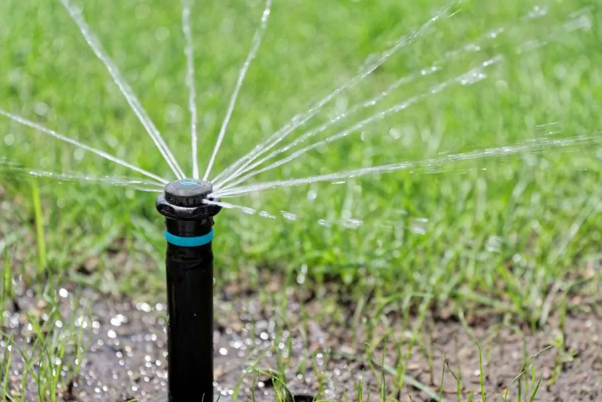 Professional Irrigation Services in Lakeside, TX for Homes and Businesses