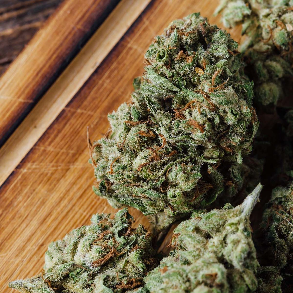 Kratom Drink and Thai Culture: From Tradition to Modern Lifestyle | Popup CNX